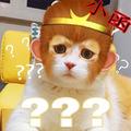 吃鸡小罗解说 头像