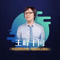 王峰十问 头像