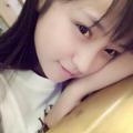 二枝虞美人 头像