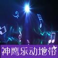 神鹰乐动 头像