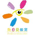 东莞向日葵教育于老师 头像