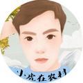 小虎在农村 头像