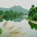 乡村阿飞 头像