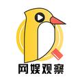 网娱观察官 头像