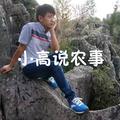 小高说农事 头像