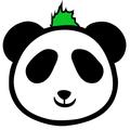 熊猫小妙招 头像