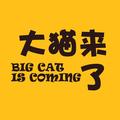 BIGCAT大猫来了 头像