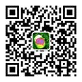 灵感铺子lingganpuzi 头像