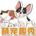 萌宠头头 头像