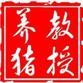 教授养猪 头像