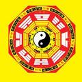 笪慧周易八字 头像