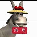狗哥说手机 头像
