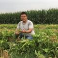 护田鹰种植能手 头像