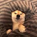 杰哥笑工坊 头像