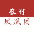 农村凤凰团 头像