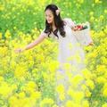 明烛放光芒 头像