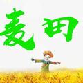 麦田说动漫 头像