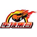 车技集合 头像