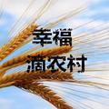 幸福滴农村 头像