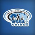 WSSA竞技叠杯 头像