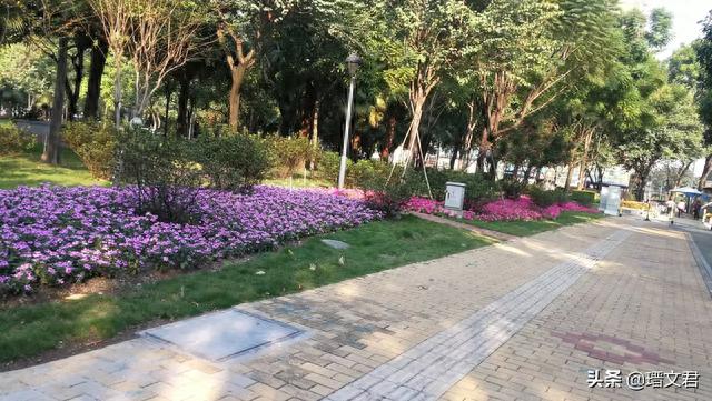 通济公园，小巧玲珑