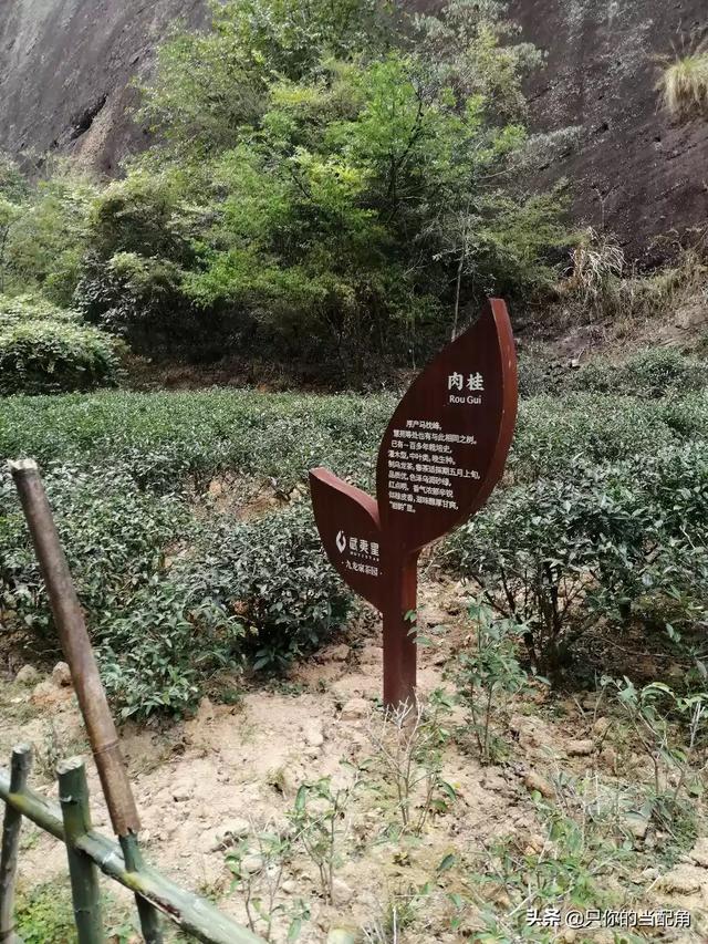 武夷山2日游