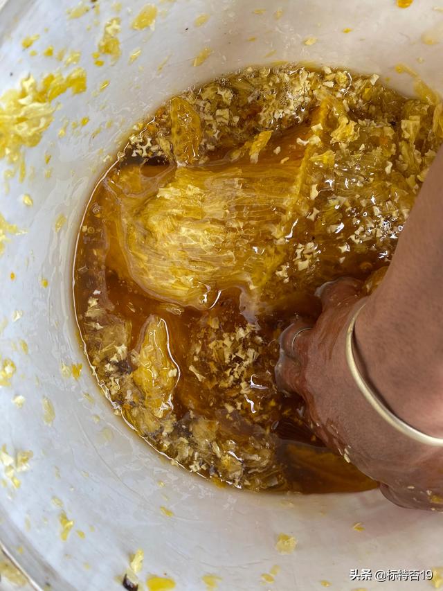 标特否什么意思，标特否是什么意思（正宗野蜂蜜）