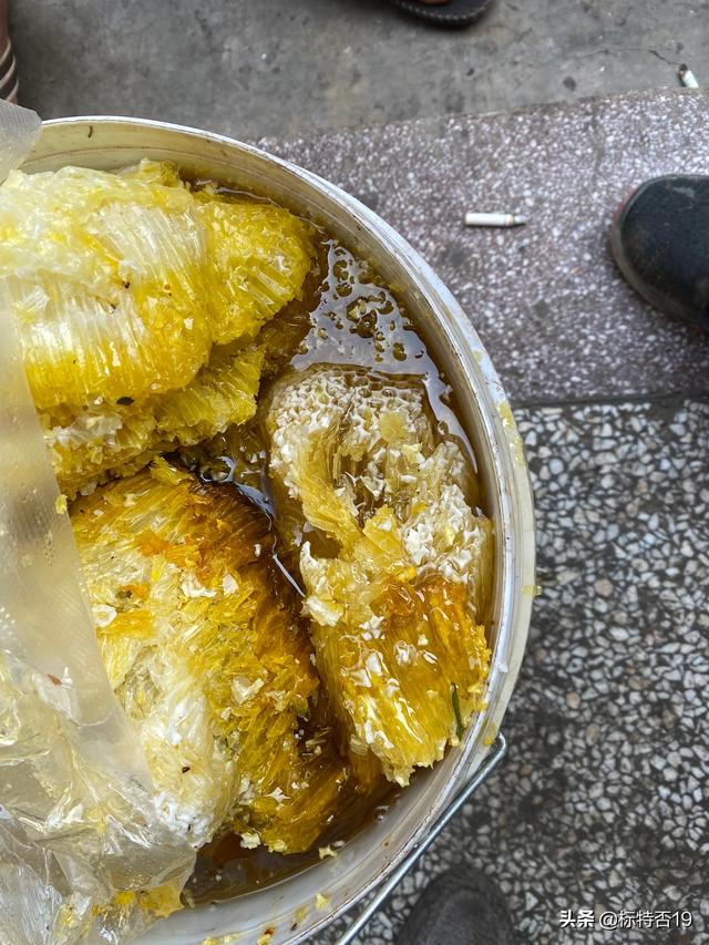 标特否什么意思，标特否是什么意思（正宗野蜂蜜）