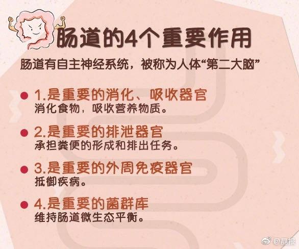 肠道的4个作用被称为第二大脑