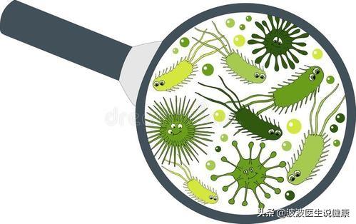 细菌和病毒有什么区别，细菌真菌病毒特效药（真菌、细菌、病毒的区别是什么）