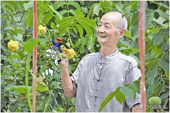 有人说“人到老年，真正可悲的不是没有人陪，而是没有一个爱好”，你认同这句话吗，为什么？