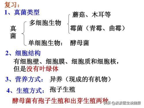 细菌和病毒有什么区别，细菌真菌病毒特效药（真菌、细菌、病毒的区别是什么）