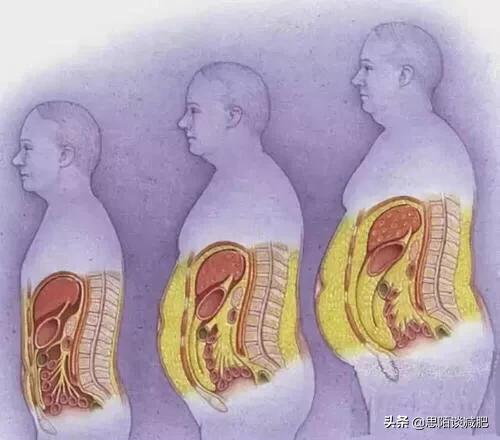 平板支撑，网传“大肚子杀手”，真的能瘦肚子吗？