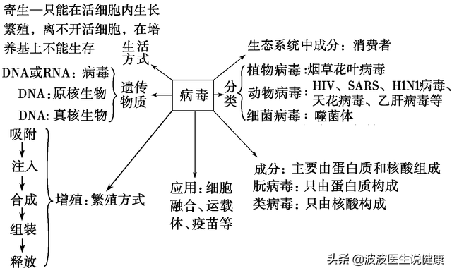 细菌和病毒有什么区别，细菌真菌病毒特效药（真菌、细菌、病毒的区别是什么）