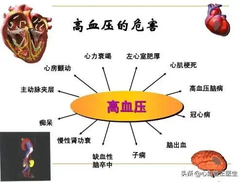 高血压分级及危险分层图片，一图看懂高血压有哪些危害（心血管医生这次讲清楚）
