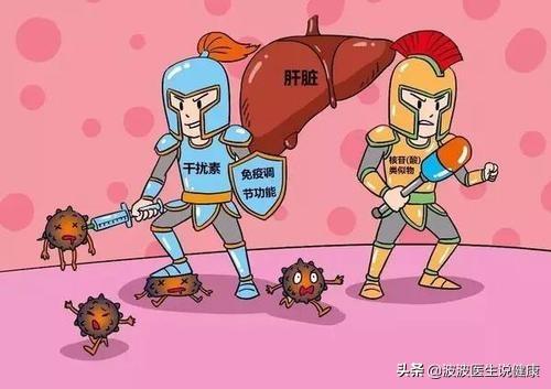 细菌和病毒有什么区别，细菌真菌病毒特效药（真菌、细菌、病毒的区别是什么）