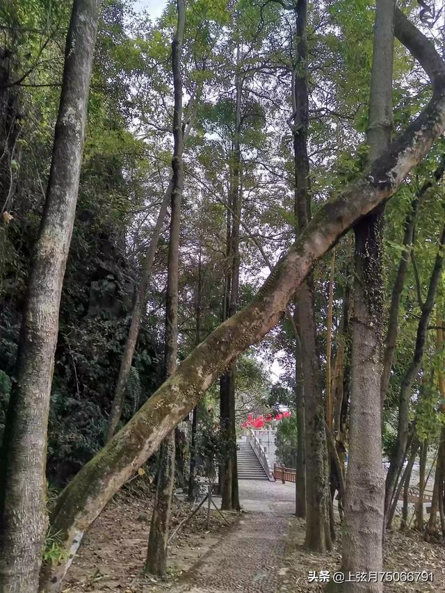 陽春崆峒巖風景區門票,崆峒山景區門票價格(陽春崆峒巖風景區)