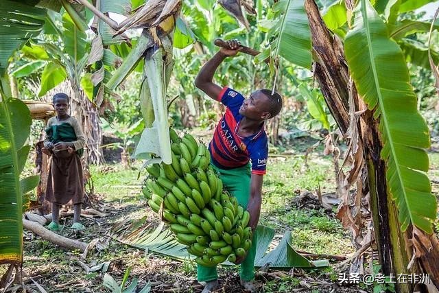非洲人是如何看待中国人