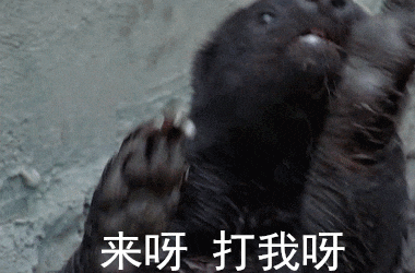 平头哥是什么梗，平头哥是什么梗 豆瓣（而是智勇双全的生存大师）