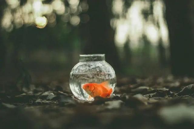 人生必须思考的五个问题，这5个问题你值得思考