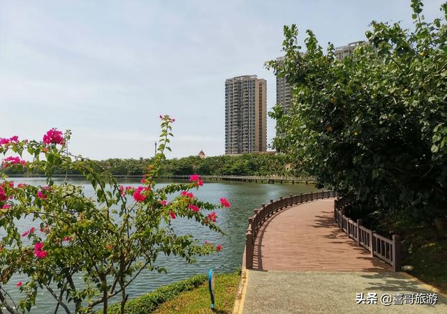 广东湛江旅游攻略，湛江旅游攻略最全攻略（广东省湛江市赤坎区十大景区有哪些）