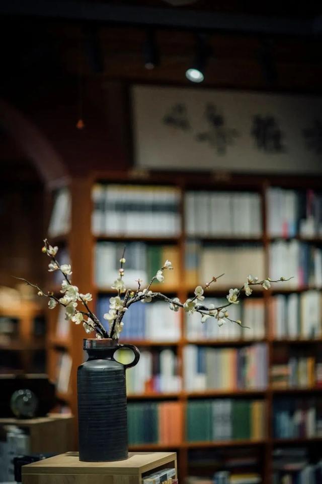 云南最好吃的野生菌在哪，中国最浪漫城市非她莫属