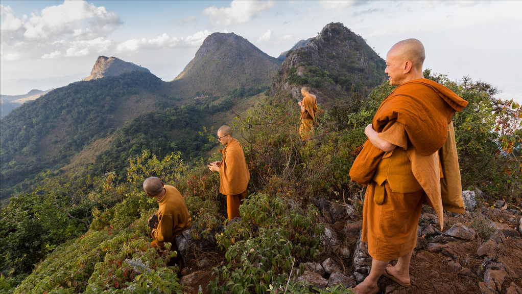 罗翔讲刑法2020讲义（罗翔老师的）