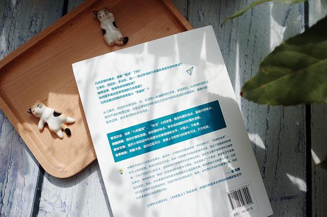 数学几何是什么意思，数学中的几何是什么意思（了解学习几何的方法）