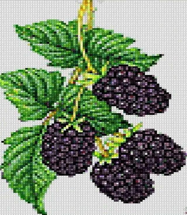 在家加工十字绣，在家加工十字绣赚钱吗（这些漂亮的十字绣都是她缝制的）