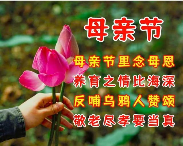 祝福母亲的话语,祝福母亲的话语,句句暖人心(最优美的母亲节祝福语)