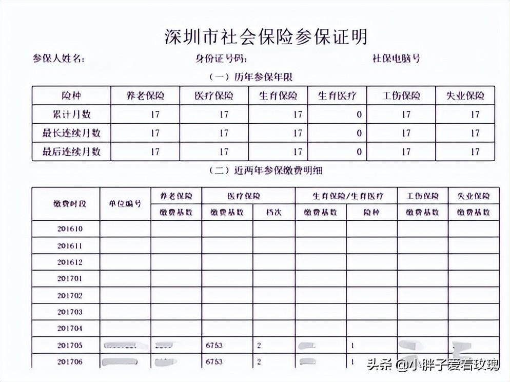 深圳社保电脑号(个人社保电脑号怎么查)
