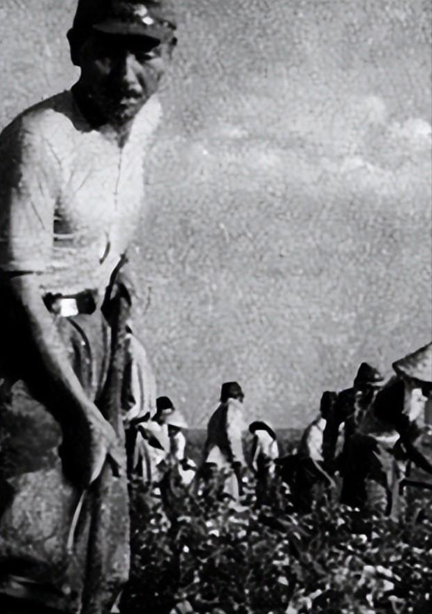 方正县砸碑事件，方正县砸碑的五个壮士现在如何（11年方正县花70万为日军战犯立碑）