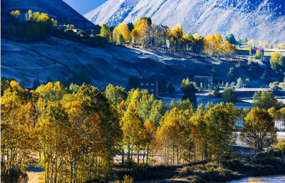 成都旅游必去十大景点推荐，成都必去的十大景点（成都人最爱去的十大景点）