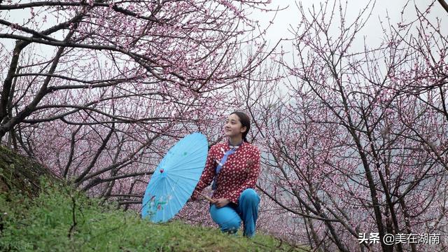 衡阳县第一中学，衡阳县一中清北班有几个（2022年湖南部分学校的高考成绩）